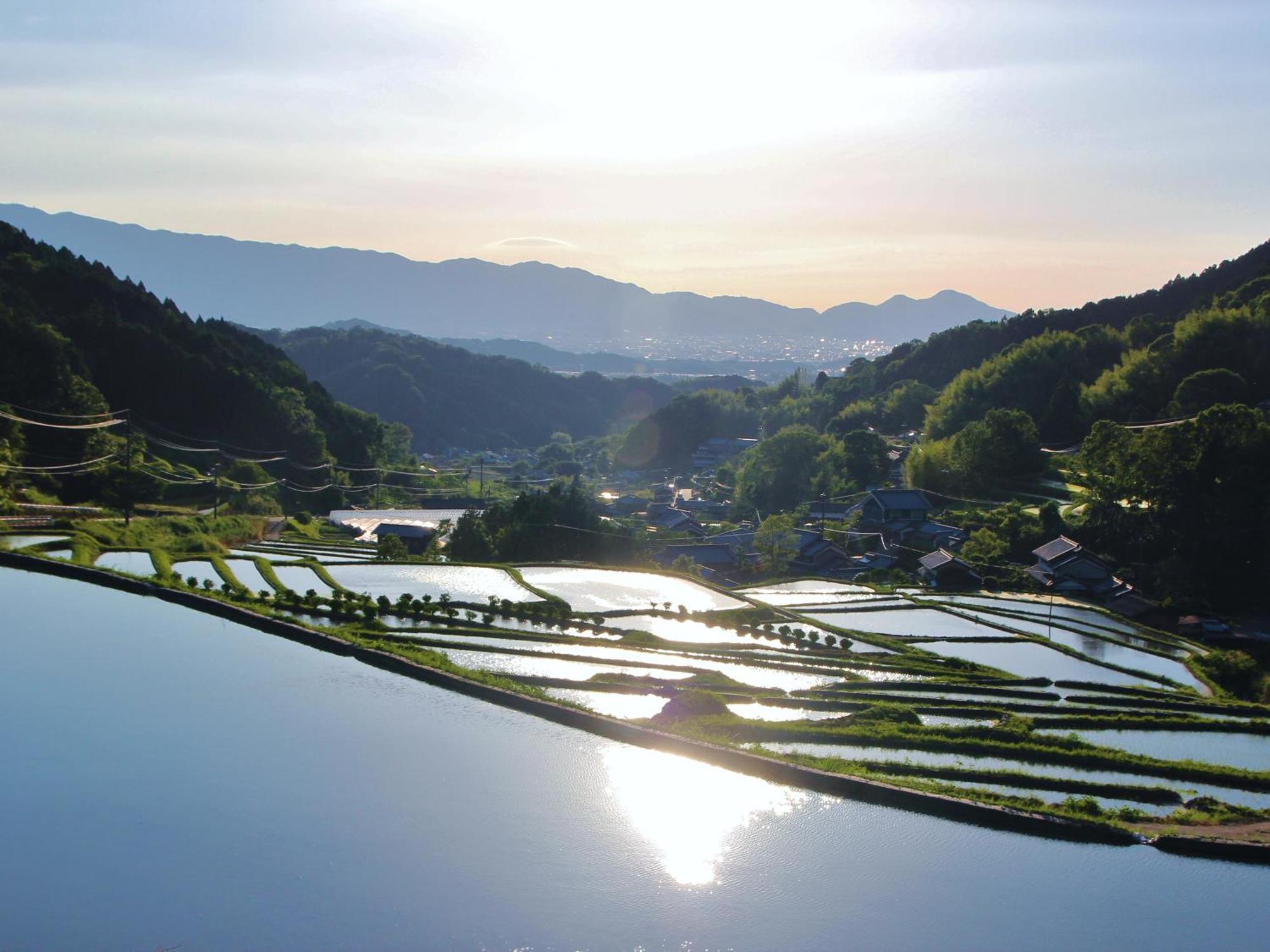 Grand Mercure Nara Kashihara 카시하라 외부 사진