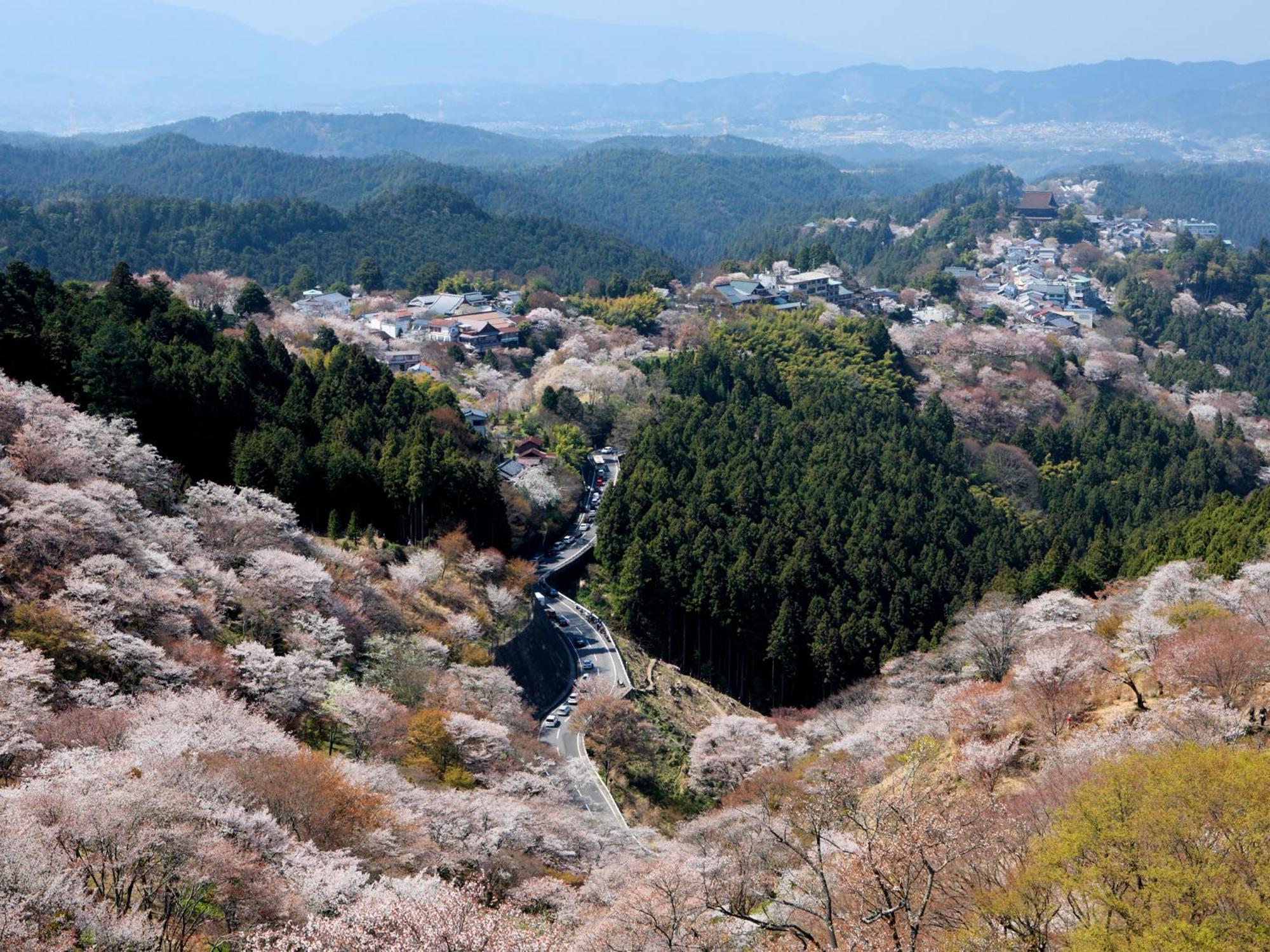 Grand Mercure Nara Kashihara 카시하라 외부 사진