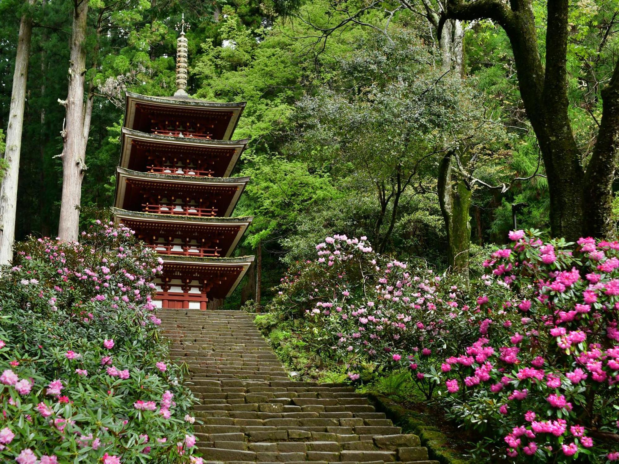 Grand Mercure Nara Kashihara 카시하라 외부 사진