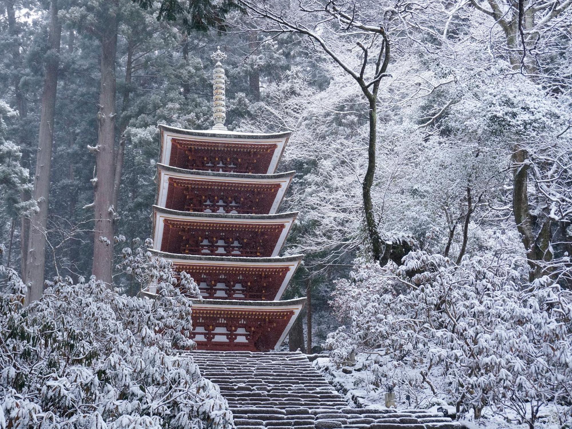 Grand Mercure Nara Kashihara 카시하라 외부 사진